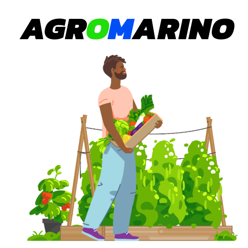 AGROMARINO